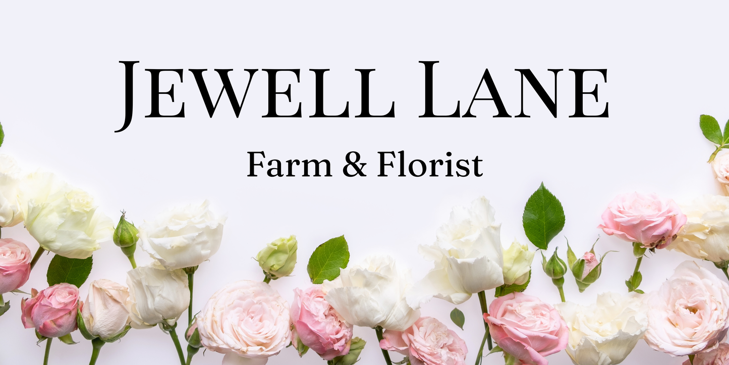 Gift Card - Jewell Lane