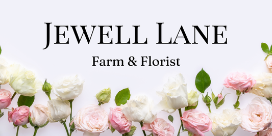Gift Card - Jewell Lane